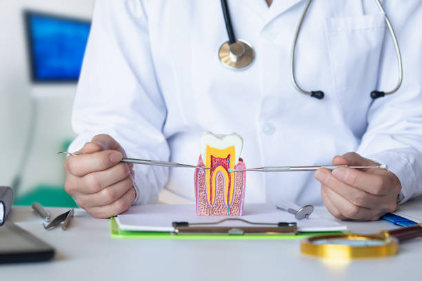 Best Pediatric Emergency Dentist in Manson, WA
